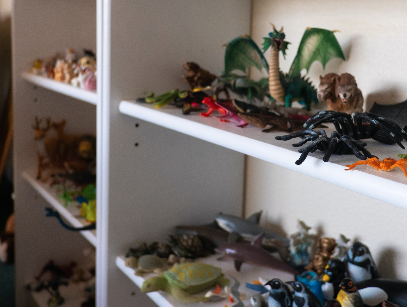 Toys arranged on a white bookcase