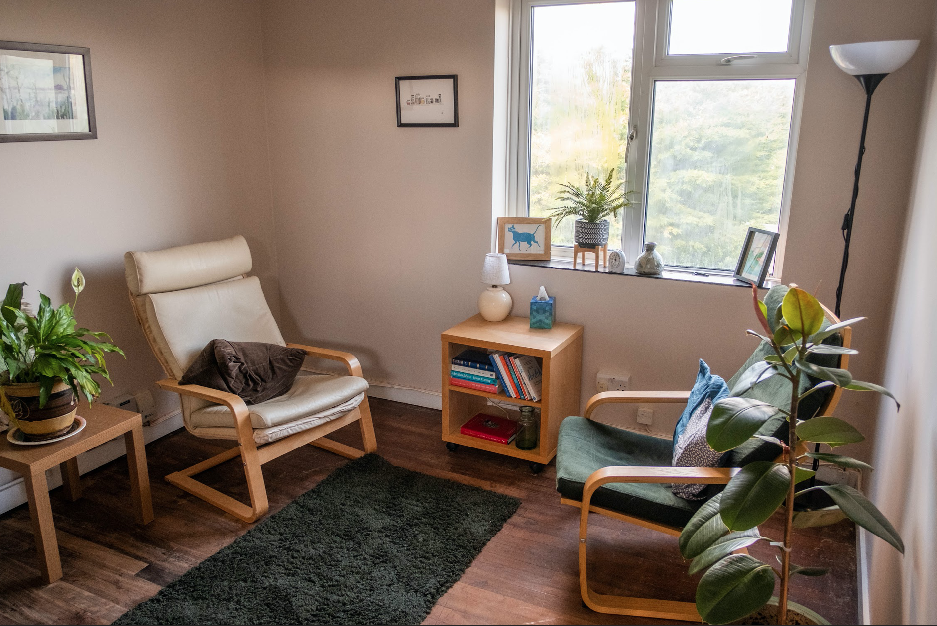 A room with two armchairs, rug and houseplants